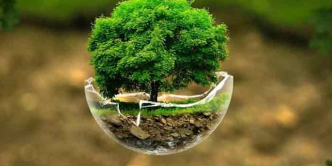 شرکت بوم پایش اصفهان